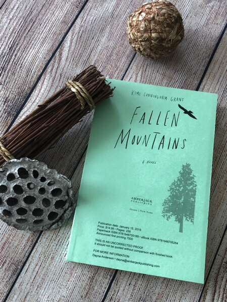 Can’t-Wait for: Fallen Mountains by Kimi Cunningham Grant @amberjackpub @kimicgrant #travelingsistersread #BookBloggers