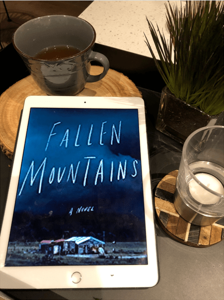Fallen Mountains by Kimi Cunningham Grant #BookReview #travelingsistersread @amberjackpub&nbsp;@kimicgrant