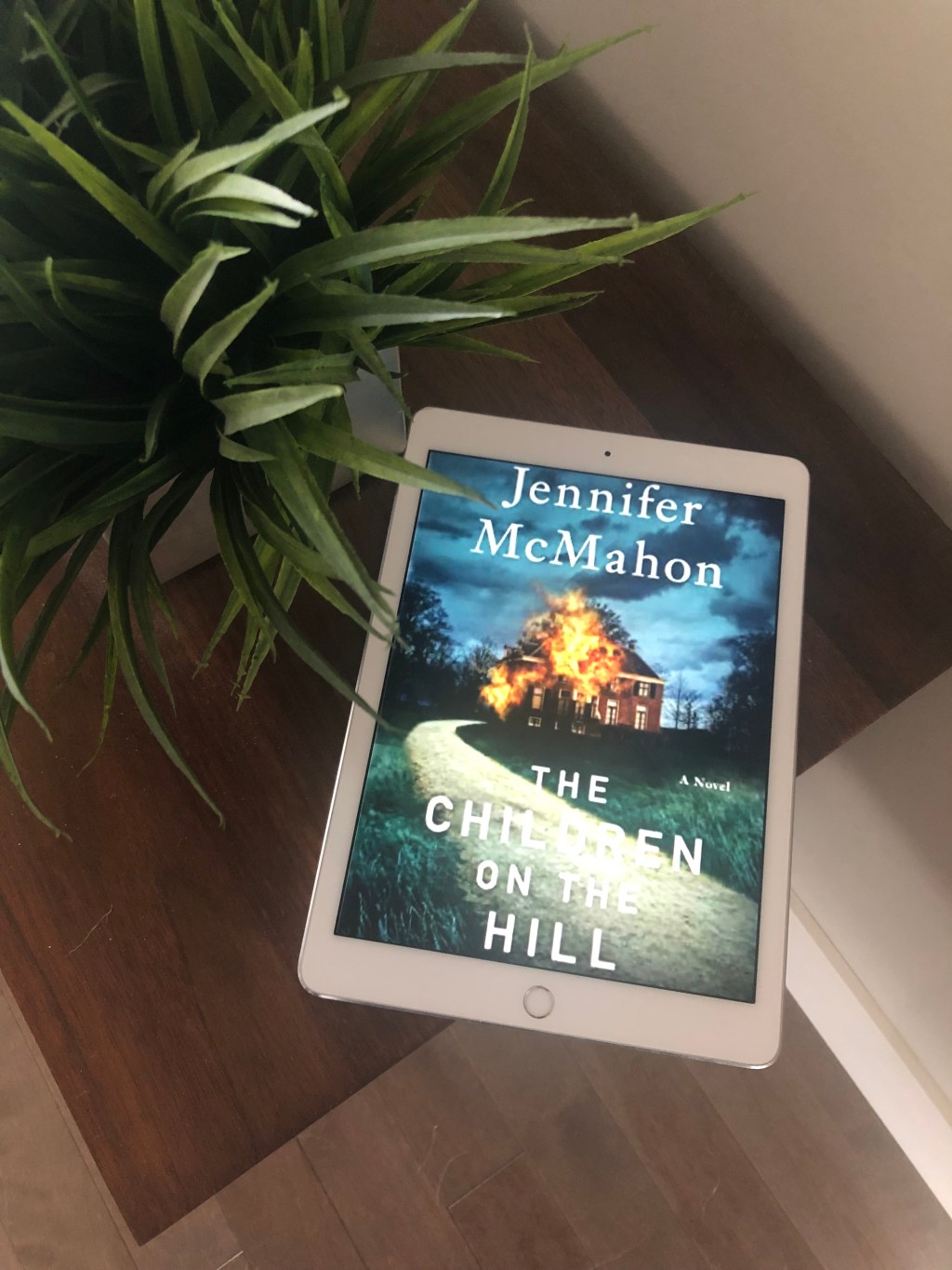 The Children on the Hill by Jennifer&nbsp;McMahon