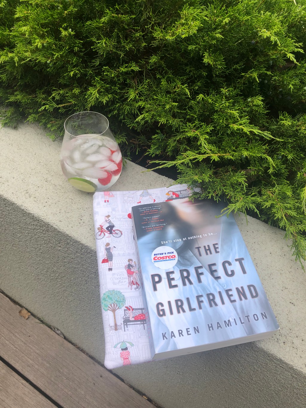 Summer Reading: The Perfect Girlfriend by Karen&nbsp;Hamilton