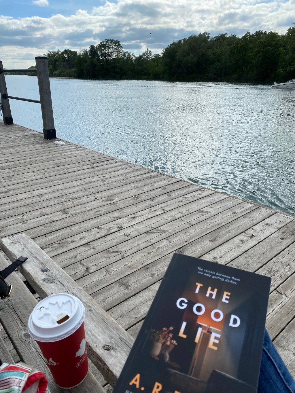 Summer Reading: The Good Lie by A.R.&nbsp;Torre