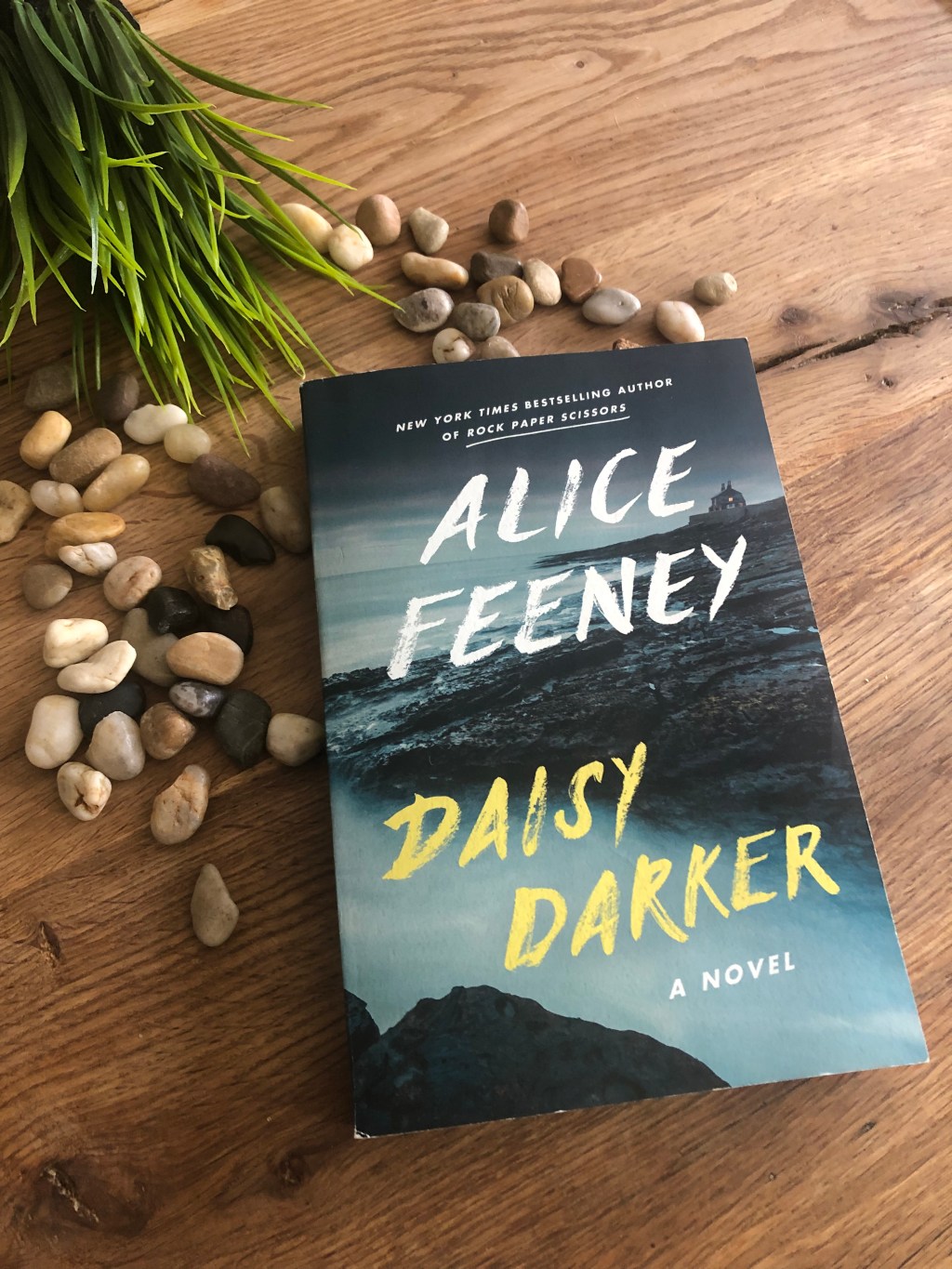 Thrill of the Week: Daisy Darker by Alice&nbsp;Feeney