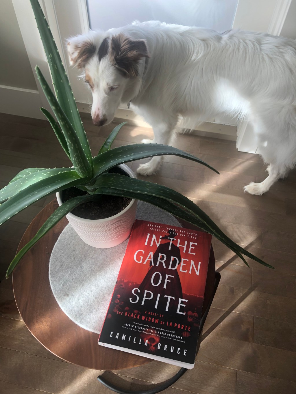 In The Garden of Spite by Camilla&nbsp;Bruce