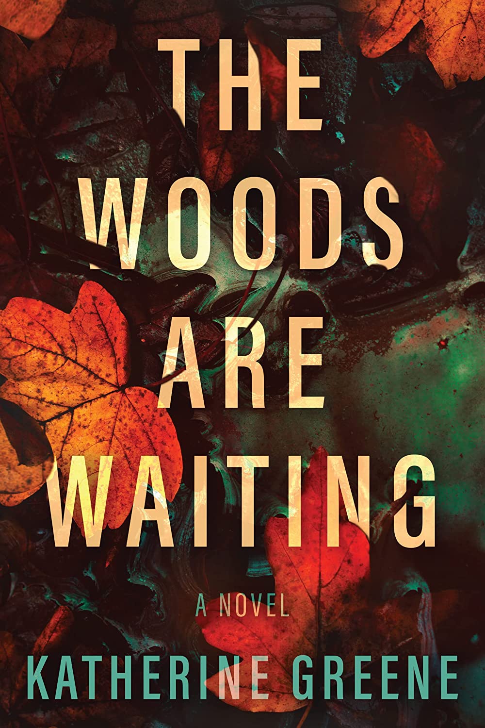 “Don’t Go In The Woods Alone” Cabin Read: The Woods Are Waiting by Katherine&nbsp;Greene