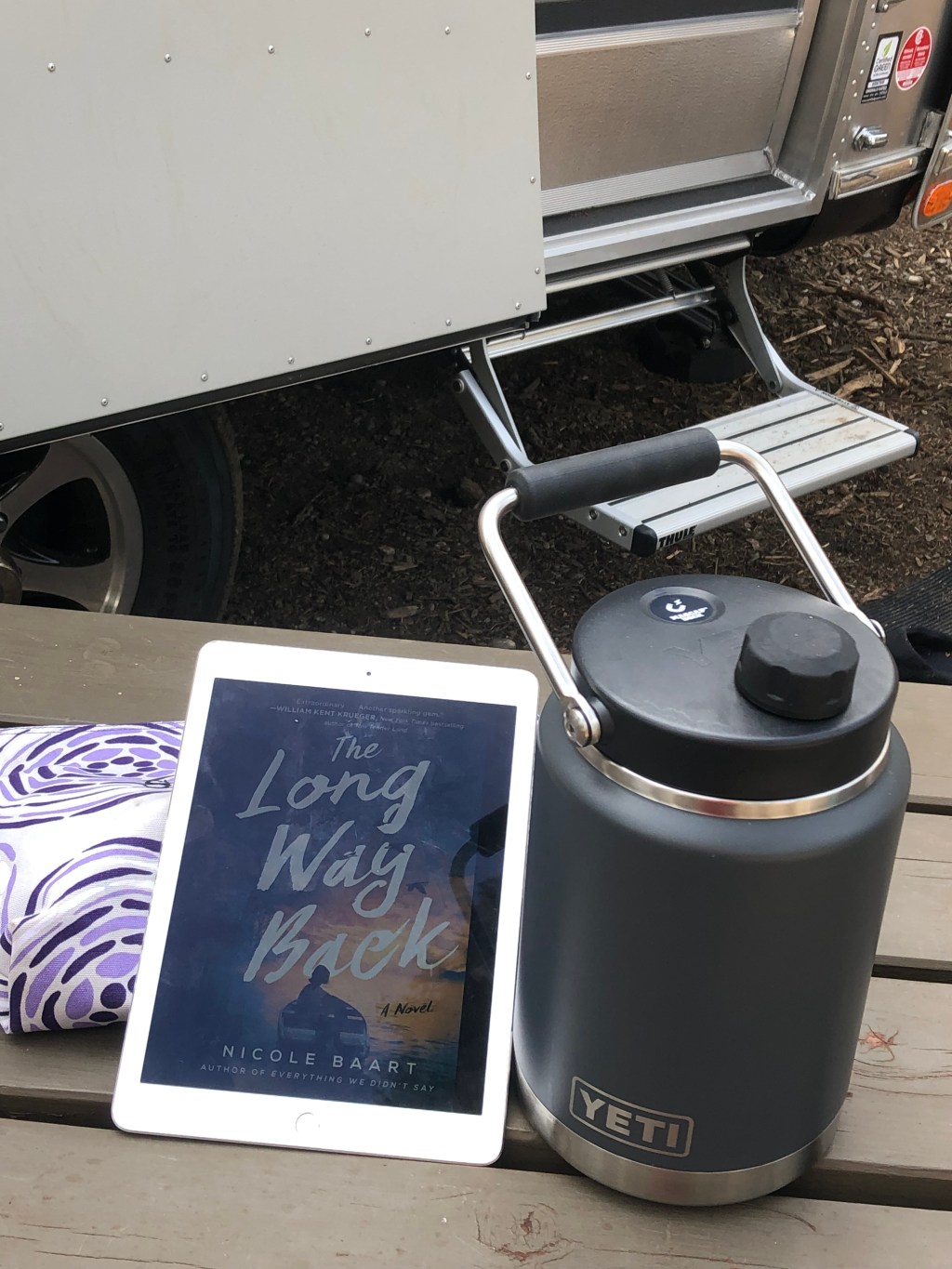 Summer Reading: Long Way Back by Nicole&nbsp;Baart